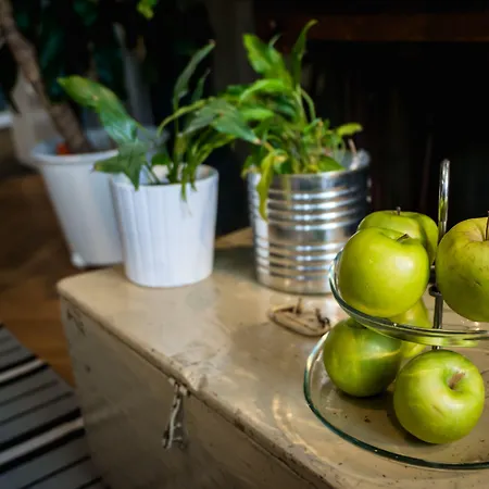 Terzopiano Affittacamere